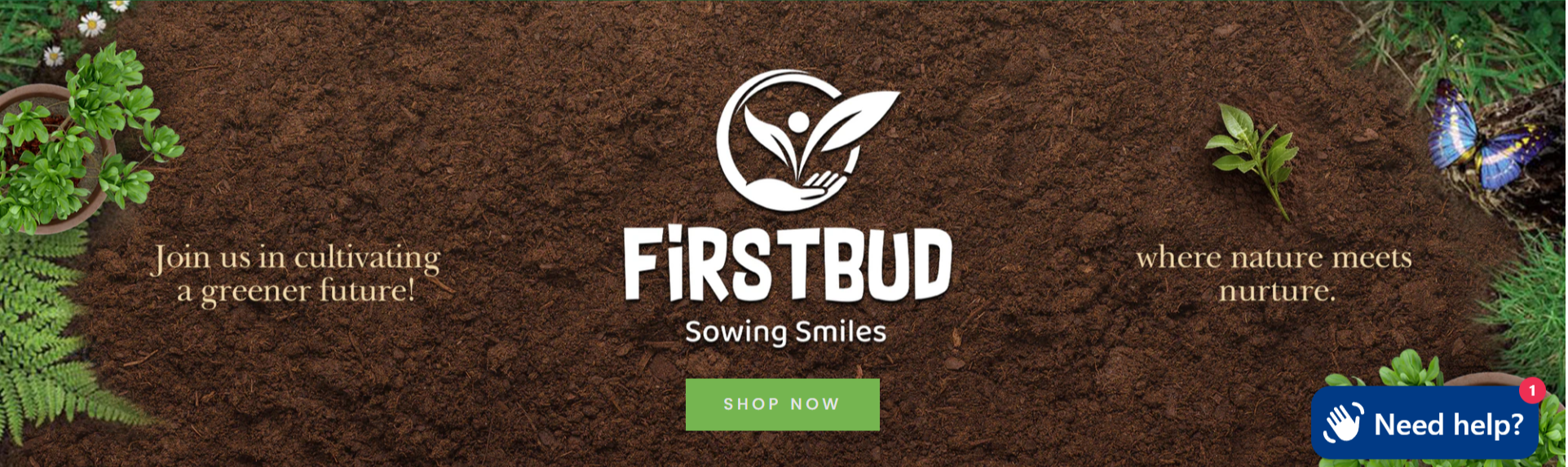first bud Cover Image