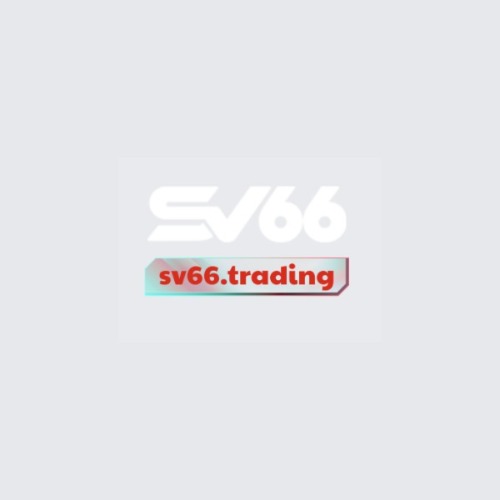 SV66 TRADING Profile Picture