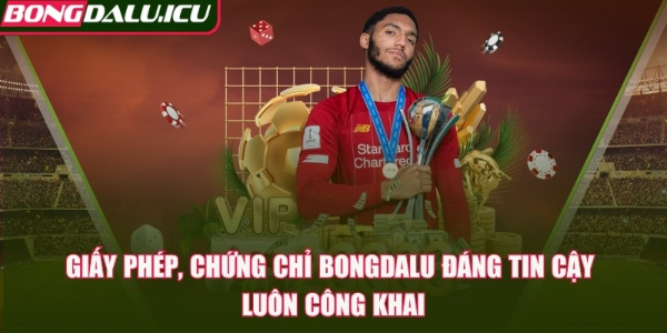 bongdalu icu Cover Image