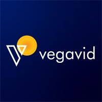 Vegavid Technology Cover Image