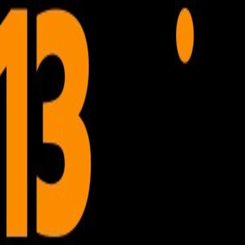 13WIN org Profile Picture