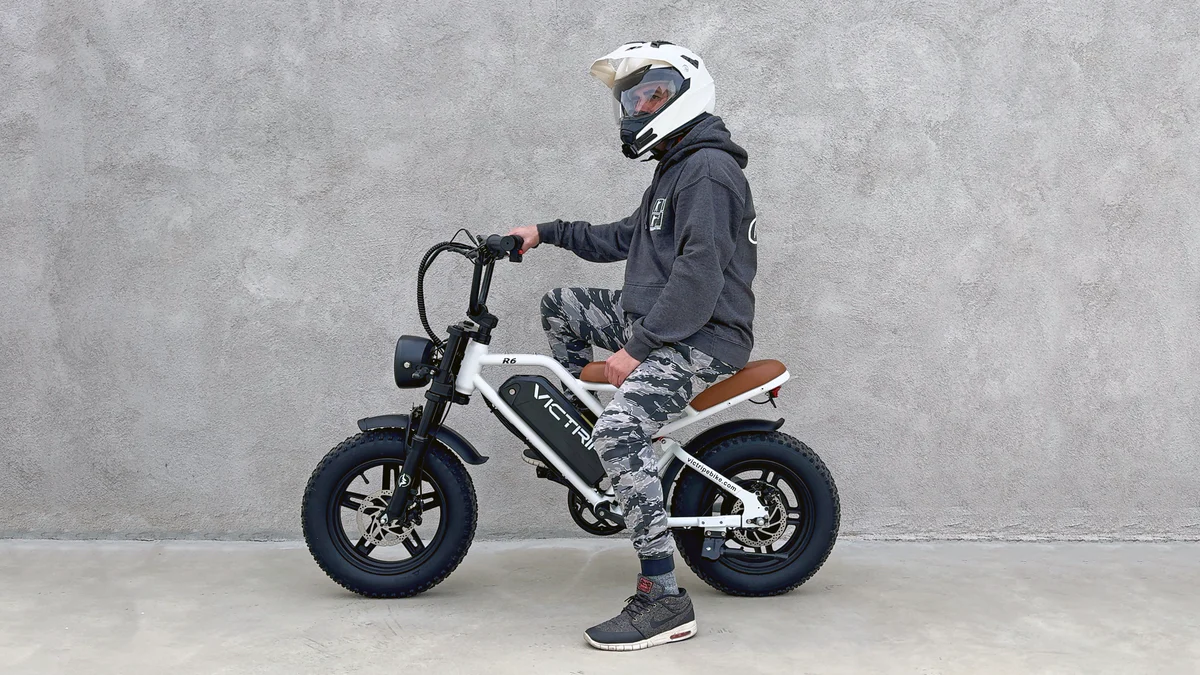 VICTRIP Ebike Profile Picture